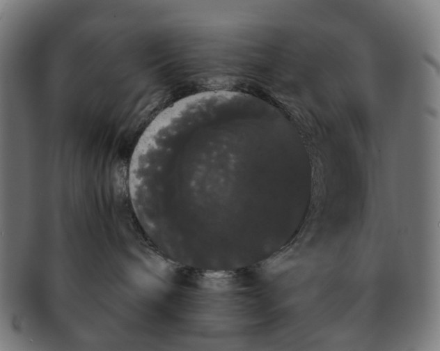 X0000091240240200709061546
