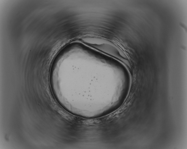X0000091240241200709061546
