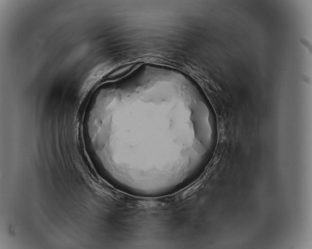 X0000091240242200709061546
