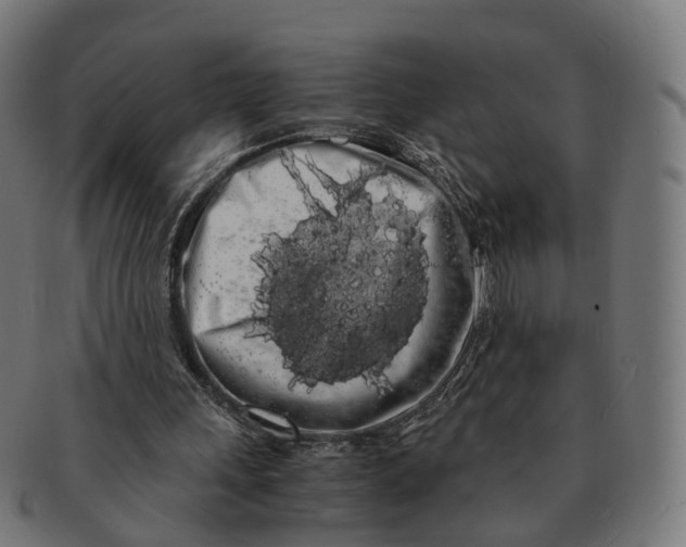 X0000091240243200709061546