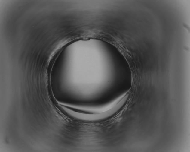 X0000091240244200709061546
