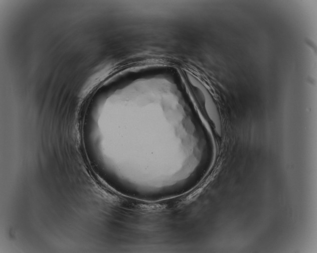 X0000091240245200709061546