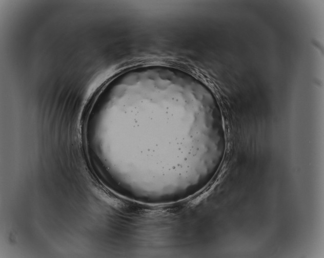 X0000091240246200709061546