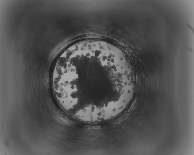X0000091240247200709061546