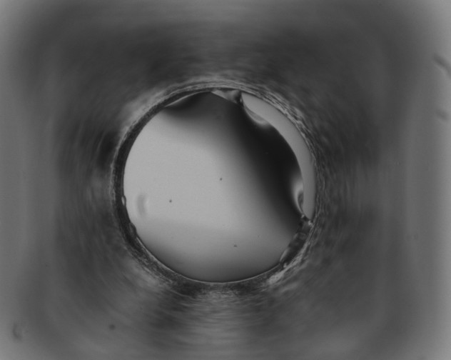 X0000091240248200709061546