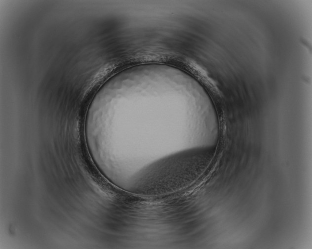 X0000091240250200709061546