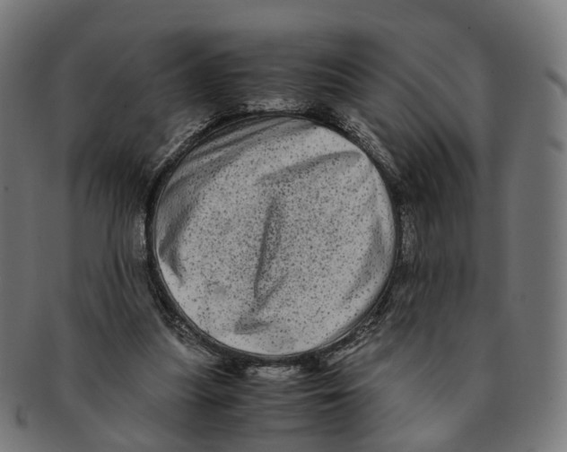 X0000091240251200709061546