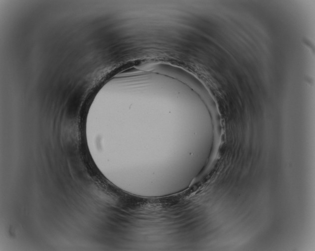 X0000091240252200709061546