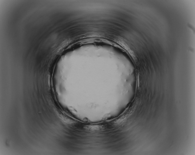 X0000091240253200709061546