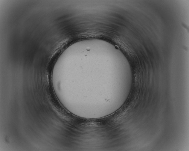 X0000091240254200709061546