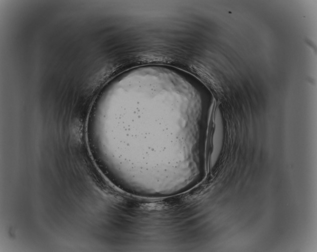 X0000091240255200709061546