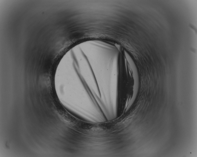 X0000091240256200709061546