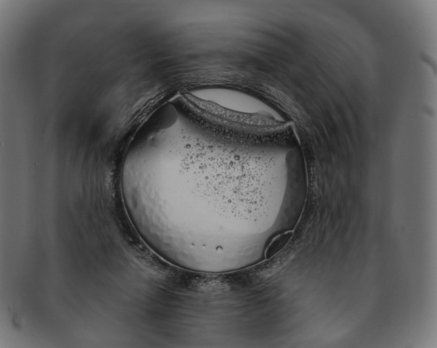 X0000091240258200709061546