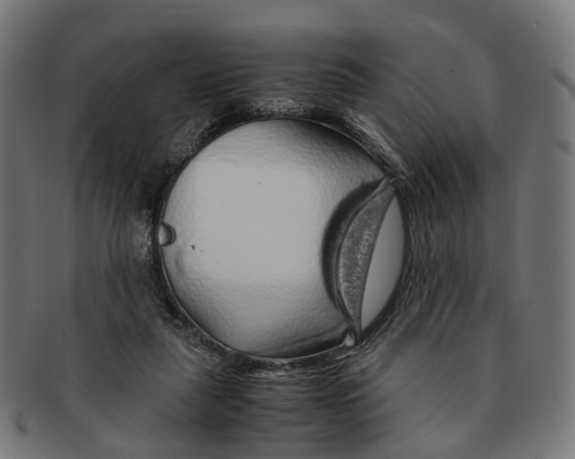 X0000091240259200709061546