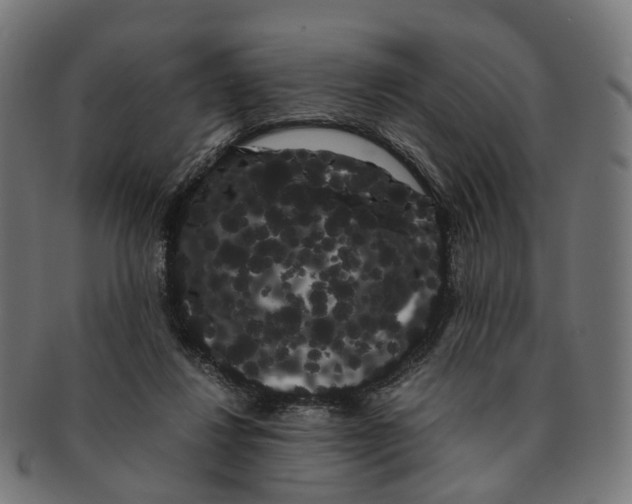 X0000091240260200709061546