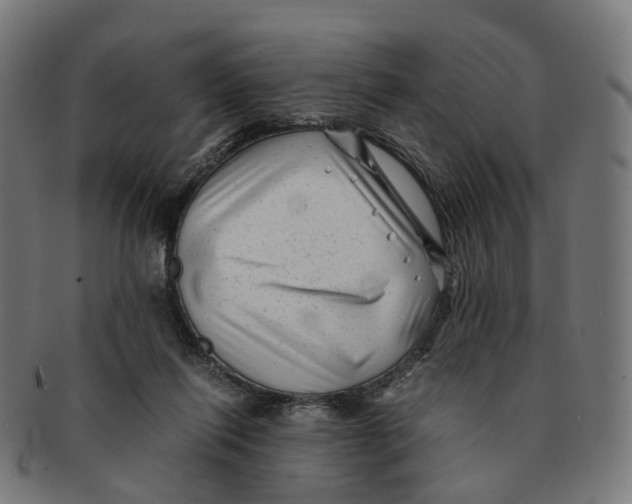 X0000091240262200709061546