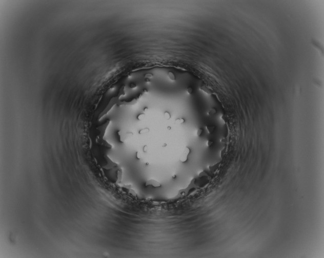 X0000091240264200709061546