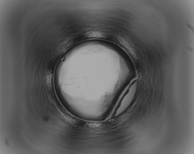 X0000091240265200709061546