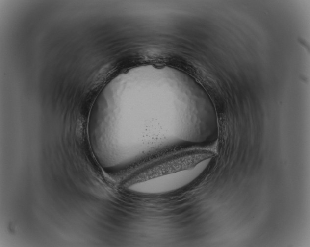 X0000091240266200709061546