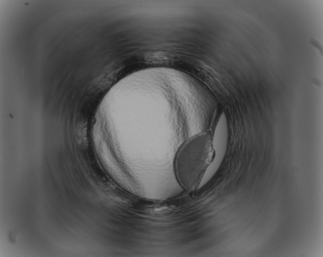 X0000091240267200709061546