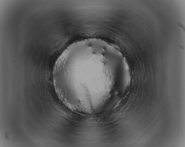 X0000091240268200709061546