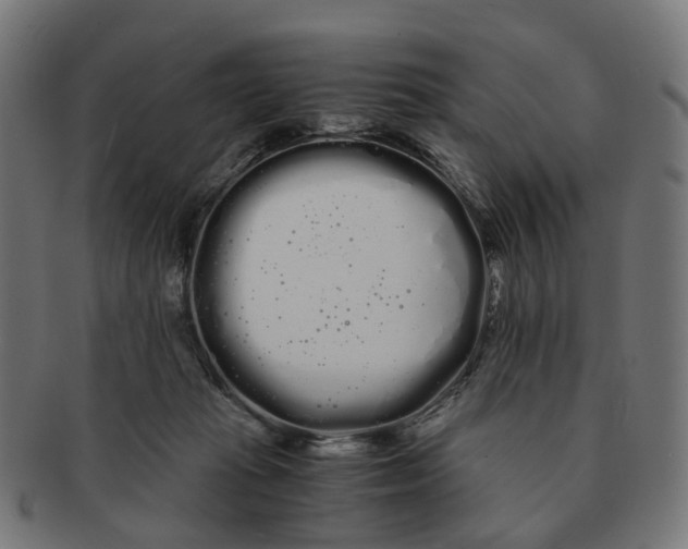 X0000091240269200709061546
