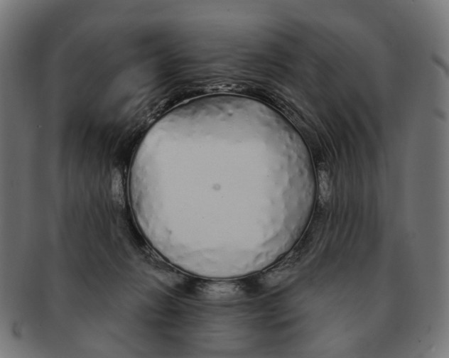 X0000091240270200709061546