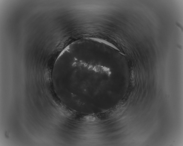 X0000091240272200709061546