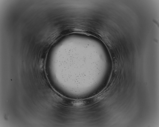 X0000091240273200709061546