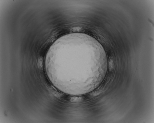 X0000091240274200709061546