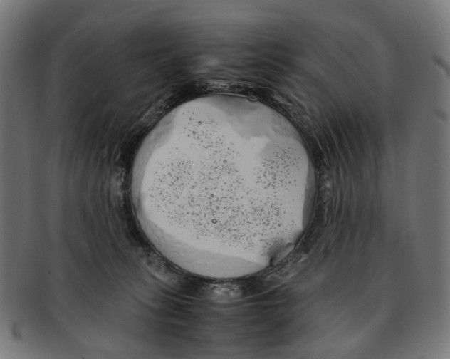 X0000091240275200709061546