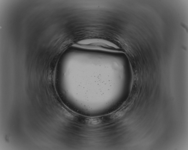 X0000091240277200709061546