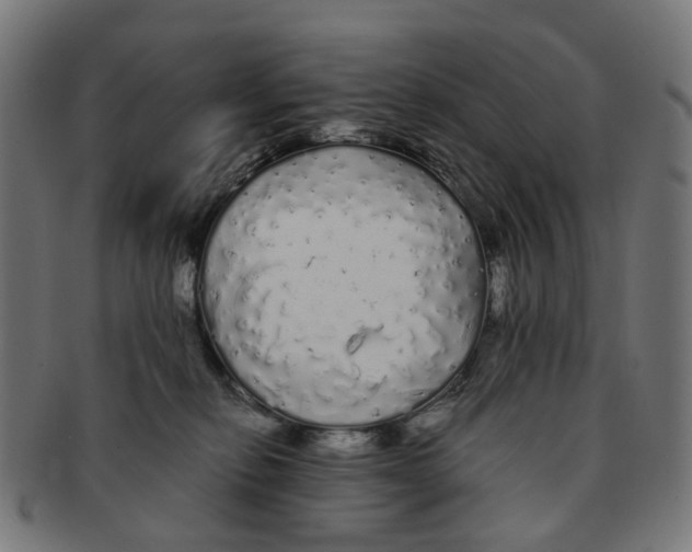 X0000091240278200709061546