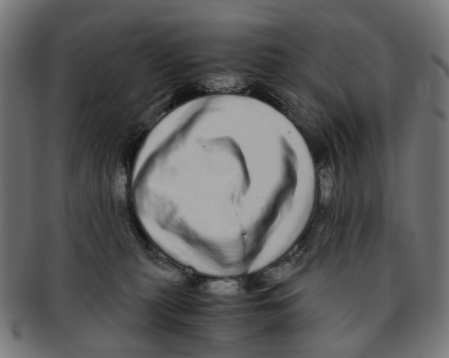 X0000091240279200709061546