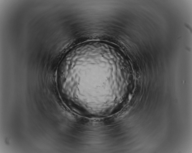 X0000091240280200709061546