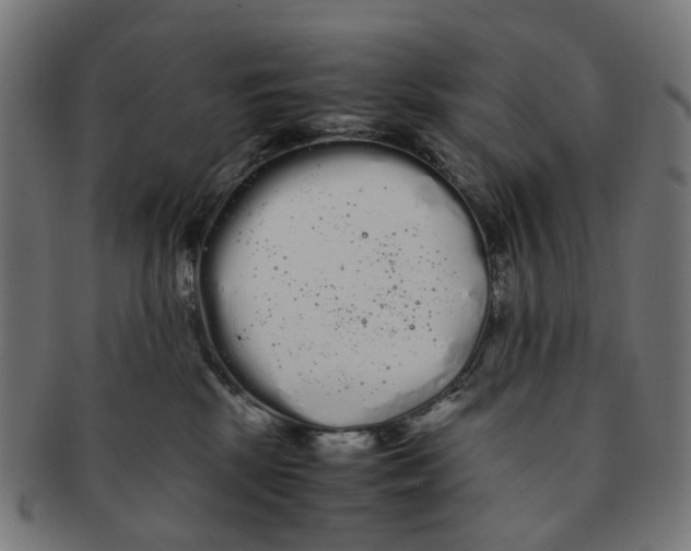 X0000091240281200709061546