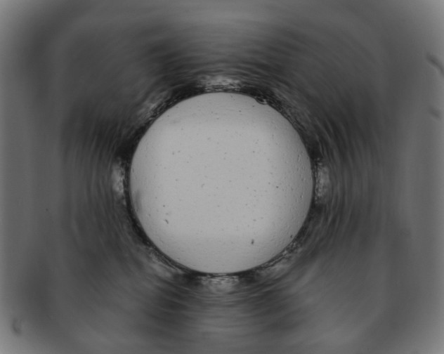 X0000091240282200709061546