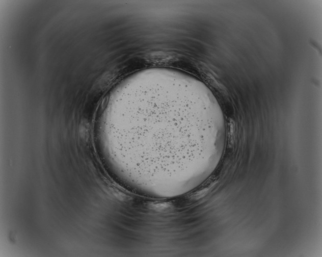 X0000091240283200709061546