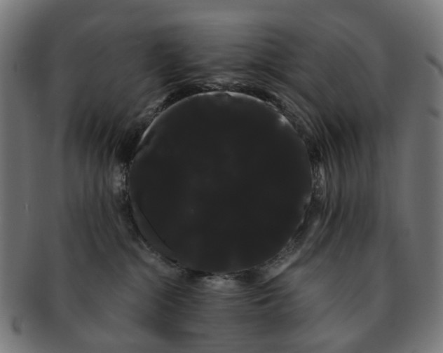 X0000091240284200709061546