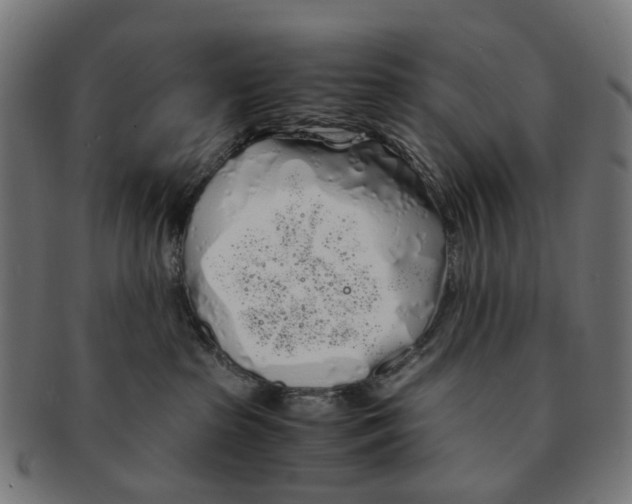X0000091240285200709061546