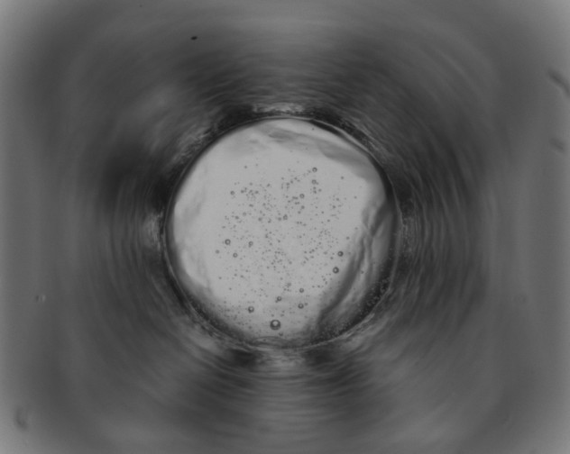 X0000091240286200709061546