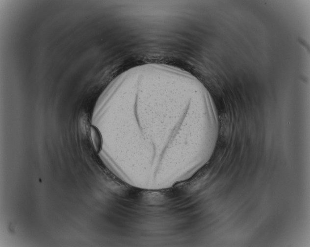 X0000091240287200709061546