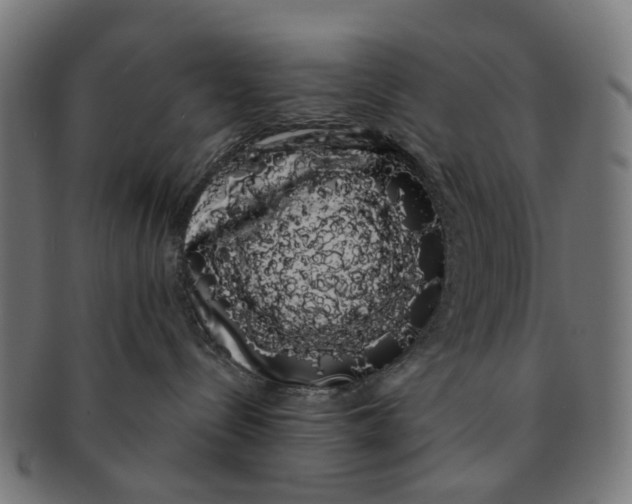 X0000091240288200709061546