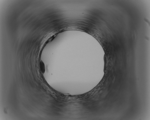 X0000091240289200709061546