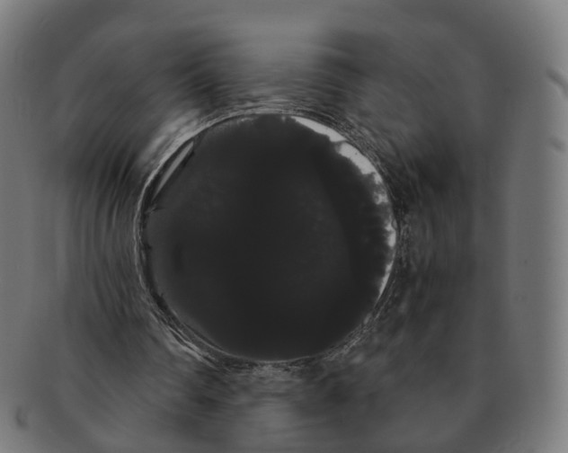 X0000091240290200709061546