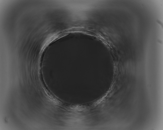 X0000091240293200709061546