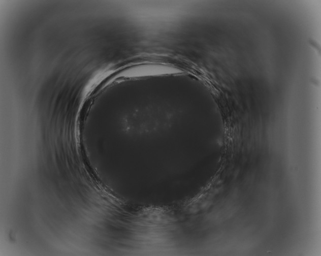 X0000091240294200709061546