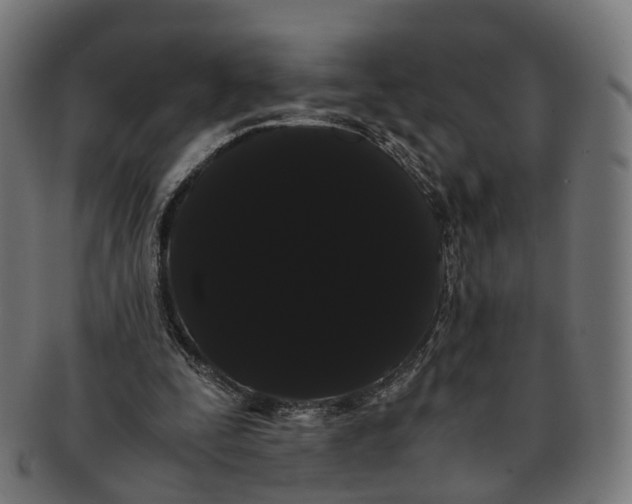 X0000091240295200709061546