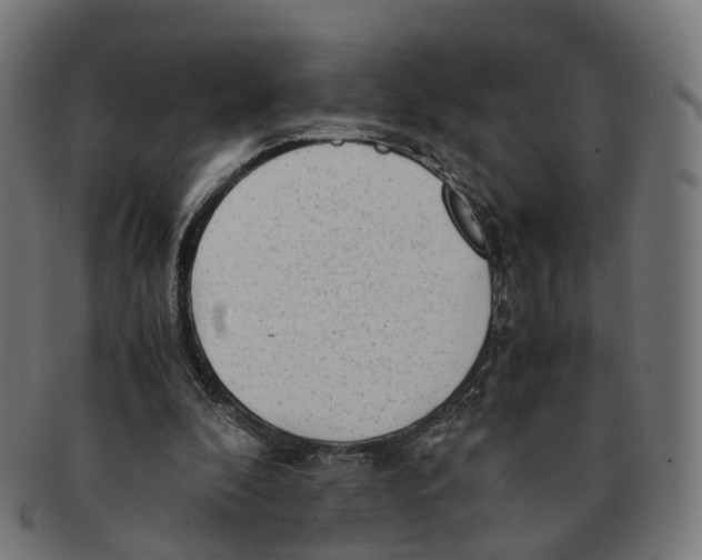 X0000091240296200709061546
