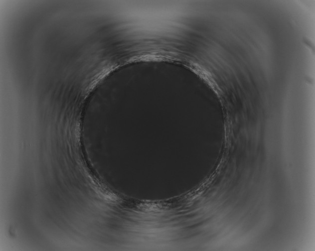 X0000091240297200709061546